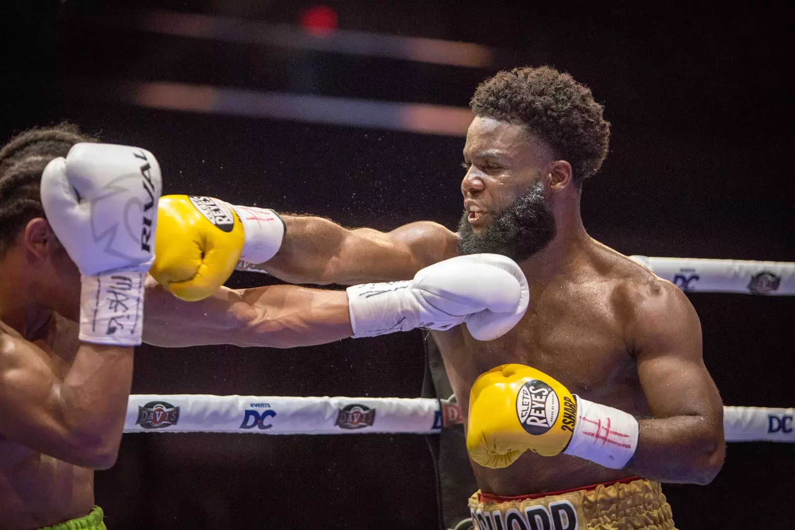 A Night of Promising Talent: Highlights from the Hutcherson vs. Ellis Boxing Card