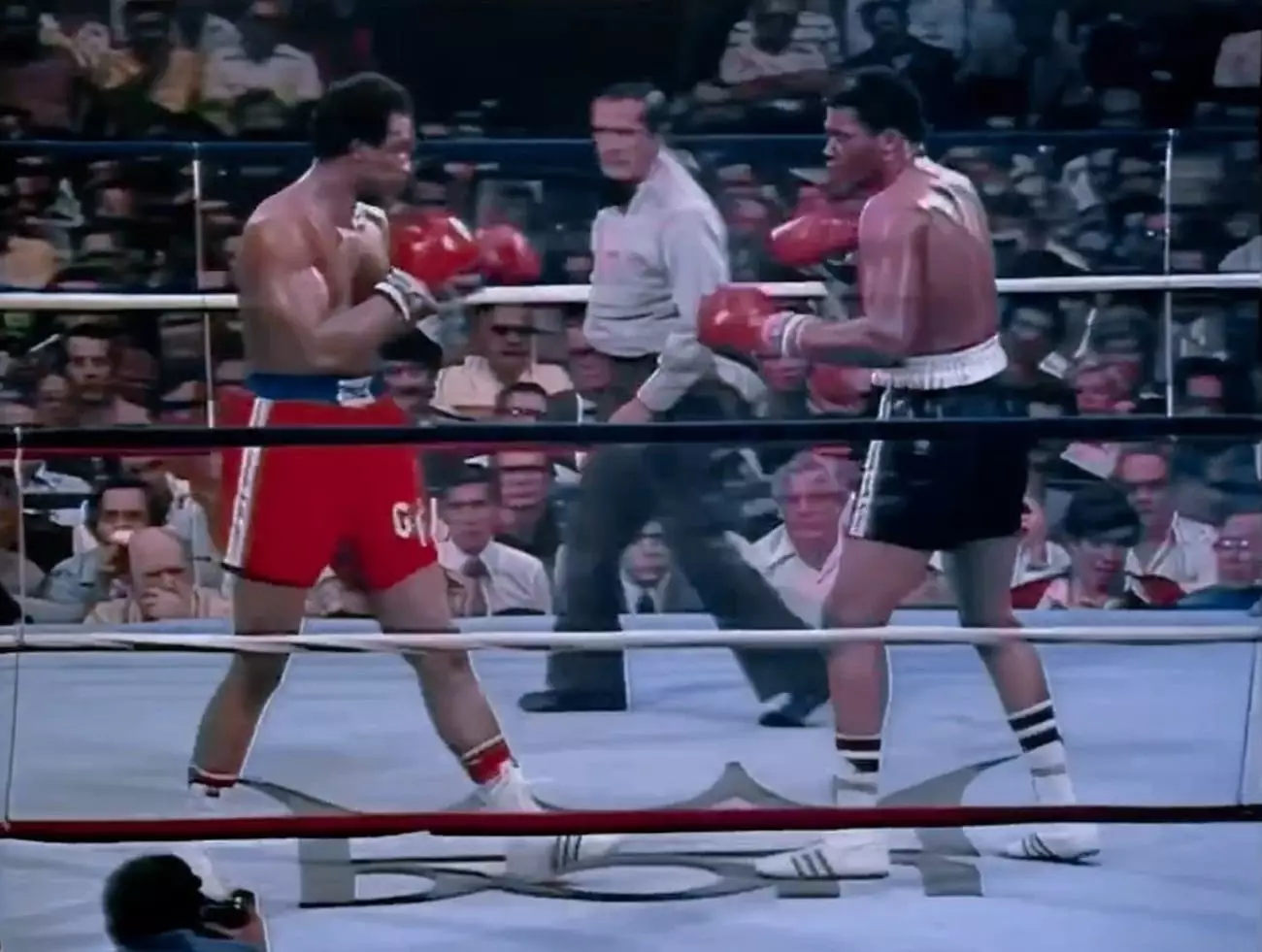 The Heavyweight Powerhouses: A Tribute to Ron Lyle and the Great Debate of Punching Power